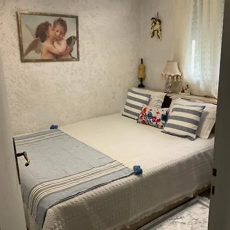 House With Big Garden