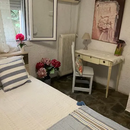 House With Big Garden