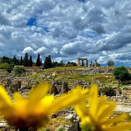 House With Big Garden Prázdninový dům *