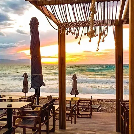 House With Big Garden *