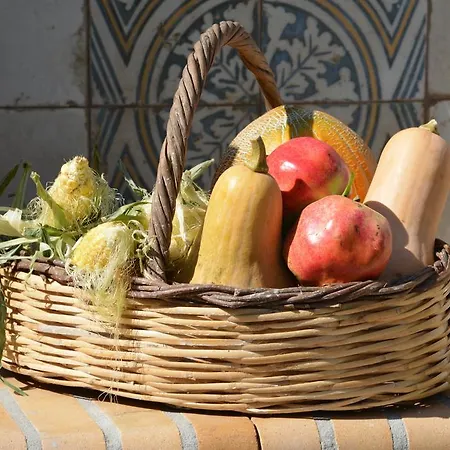 Σπίτι διακοπών House With Big Garden *