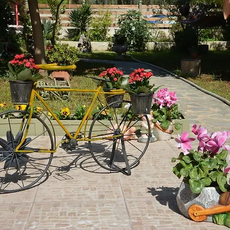 House With Big Garden *