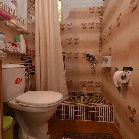 House With Big Garden Corinth