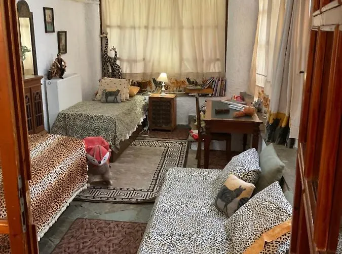 House With Big Garden *