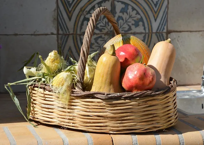 Prázdninový dům House With Big Garden *