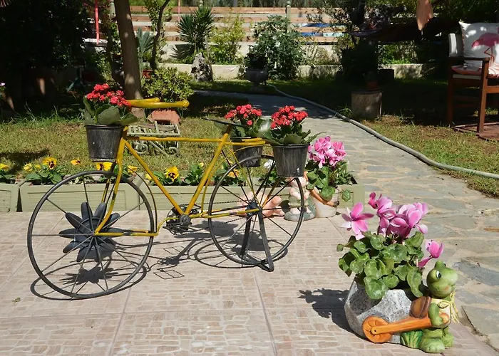 House With Big Garden *