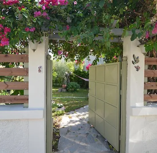 House With Big Garden